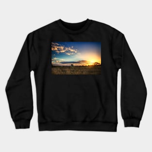 Sunny Disposition Crewneck Sweatshirt